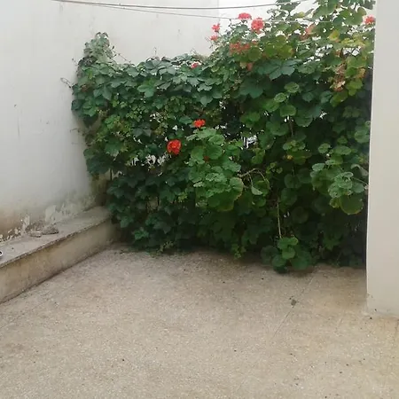 Casa Conchiglia Holiday home